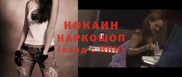 ECSTASY Алзамай