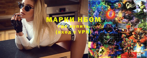 ECSTASY Алзамай