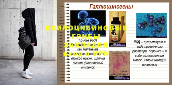 ECSTASY Алзамай