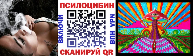 наркошоп  Джанкой  Псилоцибиновые грибы Psilocybe 