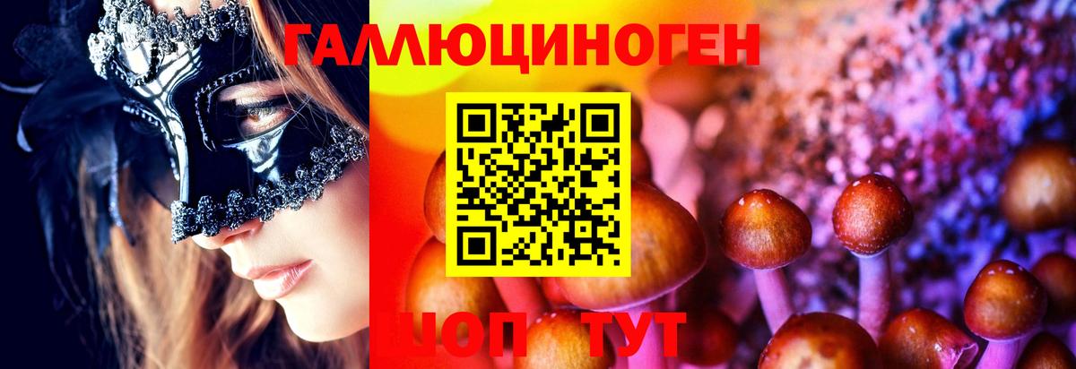 Псилоцибиновые грибы прущие грибы Джанкой
