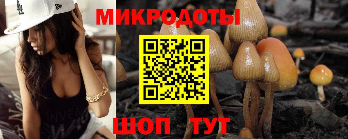 Псилоцибиновые грибы мухоморы  где продают наркотики  Джанкой  Вход с VPN 